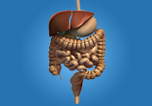 Dr. Patta Radhakrishna-Gastroenterology specialist